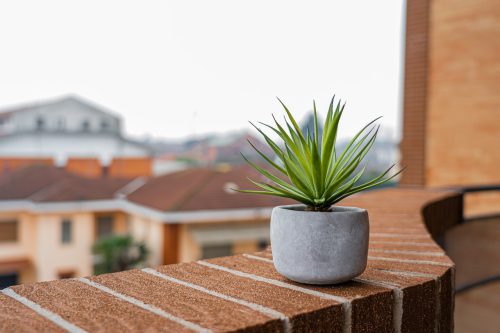 Kwiaty na zacieniony balkon: Oaza piękna w cieniu